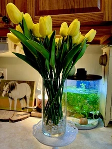 Beautiful Yellow Tulips, 27 Piece. - Picture 1 of 2