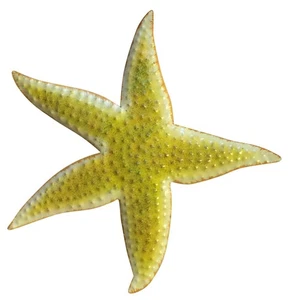Baño estrella de mar amarillo tropical 12 pulgadas placa de pared decoración arte metálico haitiano - Imagen 1 de 1