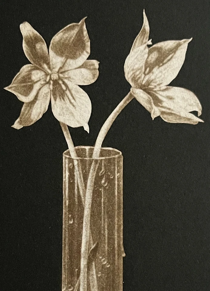 Jan Peter Tripp Signierte nummerierte Original Radierung  v. 2000 - Wilde Tulpen - Bild 1 von 4