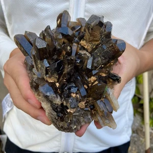 2.7LB Natural Rare Beautiful smoky QUARTZ Crystal Cluster Mineral Specimen - Picture 1 of 15