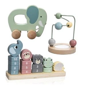 Wooden Montessori Toys Set for 1 2 3 Year Old Boys and Girls - Sensory Toys - Picture 1 of 7