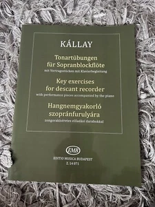 Key exercises for descant recorder Piano, Recorder Music Kallay, Gabor - Picture 1 of 2
