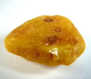 Natur Bernstein #2 Butterscotch 45 x 38mm Natural Baltic Amber 7,67g - Bild 1 von 5