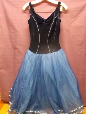 Belle Princess Blue velvet  leotard Costume Adult large. Halloween - Image 1 of 4