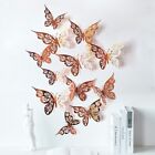 12 Stck 3D Schmetterling Wandtattoos DIY Dekoration Mehrfarbige Designs