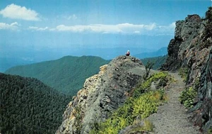 Postkarte TN: Charlie's Bunion, Great Smoky Mountains NP, 1955 - Bild 1 von 2