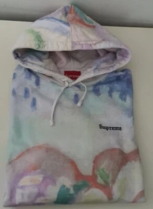 SS18 Supreme Landscape Hooded Sweatshirt hoodie size Medium M Multicolour - Picture 1 of 11