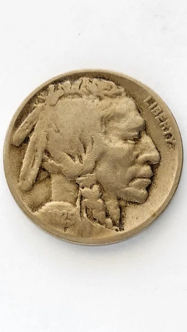 1925-D United States Buffalo Nickel Cover