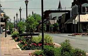 Cartolina Visita Old Perry "Crossroads of Georgia" Perry Downtown Carroll Street - Foto 1 di 2
