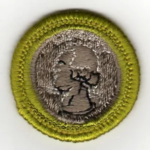 Insignia de mérito de colección de monedas, tipo G, parte posterior de tela (1961-71), como nueva - Imagen 1 de 1