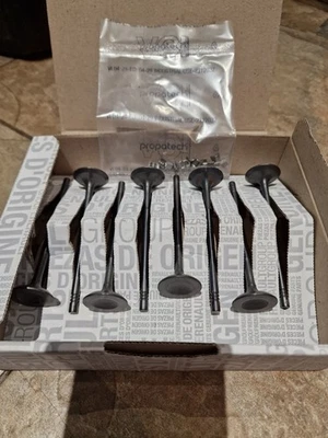 GENUINE NEW RENAULT CLIO MEGANE CAPTUR KADJAR 1.2 16V INLET VALVES 132017322R - Image 1 of 2