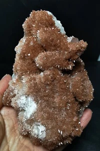 Muestra mineral de racimo de calcita de alas de ángel naturales de 634 g China - Imagen 1 de 8