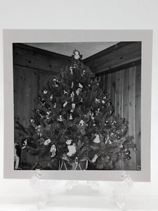 Fotografia albero di Natale vintage anni '50 - Ottime condizioni su Kodak Velox... - Foto 1 di 3
