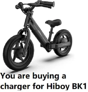 AC Adapter For Hiboy BK1 FN-A1 100W Electric Balance Bike Motorcycle DC Charger - Afbeelding 1 van 4