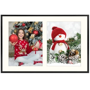 12x19 Black/Gold Aluminum Metal Frame with  Mat for Two 8x10 Photos - Picture 1 of 10