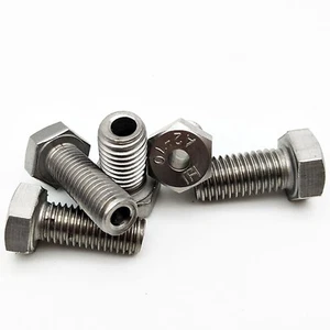 304 Stainless Steel Hex Head Bolts Cap Hollow Screw M4 M5 M6 M8 M10 M12 M14 M16 - Picture 1 of 5