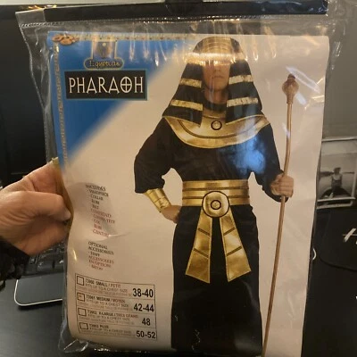 Disfraz de Faraón Egipcio Adulto Halloween Foro Novedades Mediano Hombre’s Foto 1 de 3