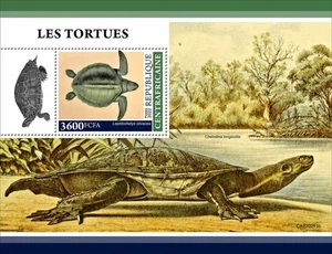 Central Africa - 2022 Olive Ridley Sea Turtle - Stamp Souvenir Sheet - CA220213b - Picture 1 of 1