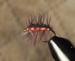Crackleback Dry Fly - arancione taglia 14 lotto di 12 F716 - Foto 1 di 2