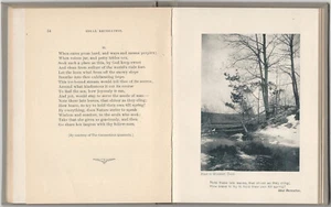 Poet Anna J. Granniss - Sandwort - 1898 Connecticut Woman Poems Poetry w/Photos - Imagen 1 de 4