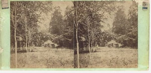 1870 Stereoview of Wissahickon Park Philadelphia Pennsylvania Card #34 - Picture 1 of 3