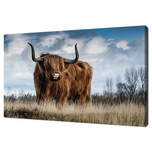 Marrón Escocés Vacas Highlands Bocas Impresión de Lona Imagen Arte de Pared - Imagen 1 de 7