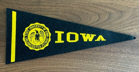 Vintage Wool Felt Mini College 9" Pennant BIG 10 IOWA UNIVERSITY HAWKEYES Cover