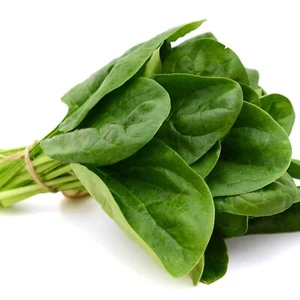 Vegetable Plants - Spinach 'Renegade' - 9 x Large Plug Plant Pack - Picture 1 of 6