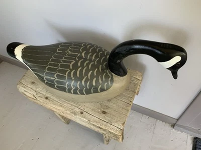 LEO TOCCHINI CANADÁ GANSO SEÑUELO/CAZA Foto 1 de 4