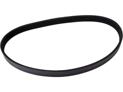 Cinturón multi costilla aire acondicionado para International 8100 1995-1996 69277XFXV Foto 1 de 2