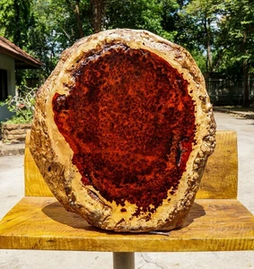 Red AMBOYNA BURL LUMBER Wood Natural Slab Live Edge DIY Epoxy Resin Table Top - Picture 1 of 14