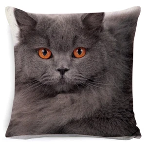 Taie d'oreiller housse de coussin chat  45x45 cm  - Imagen 1 de 3