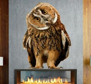 3D Owl Full Color Decal, 3D Owl Full color sticker, wall art, wall decor cn 040 - Picture 1 of 4