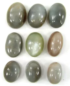 145,05 Ct Natürlicher Mondstein Lose Edelstein 17-23 mm Cabochon 9-teiliges Set - 61436 - Bild 1 von 2