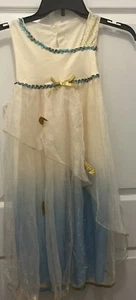 Girls Dress Up Jasmine Pocahontas Pretend Size 6 Halloween Party Sparkles Leaves - Picture 1 of 9