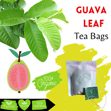 Oganic Guava Leaf Tea Bags 40pcs Pure Herbal Tea Immunity Enhances Weight Loss