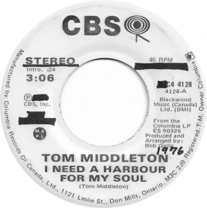 Tom Middleton I Need A Harbour For My Soul 45 Vinyl Record - Bild 1 von 1
