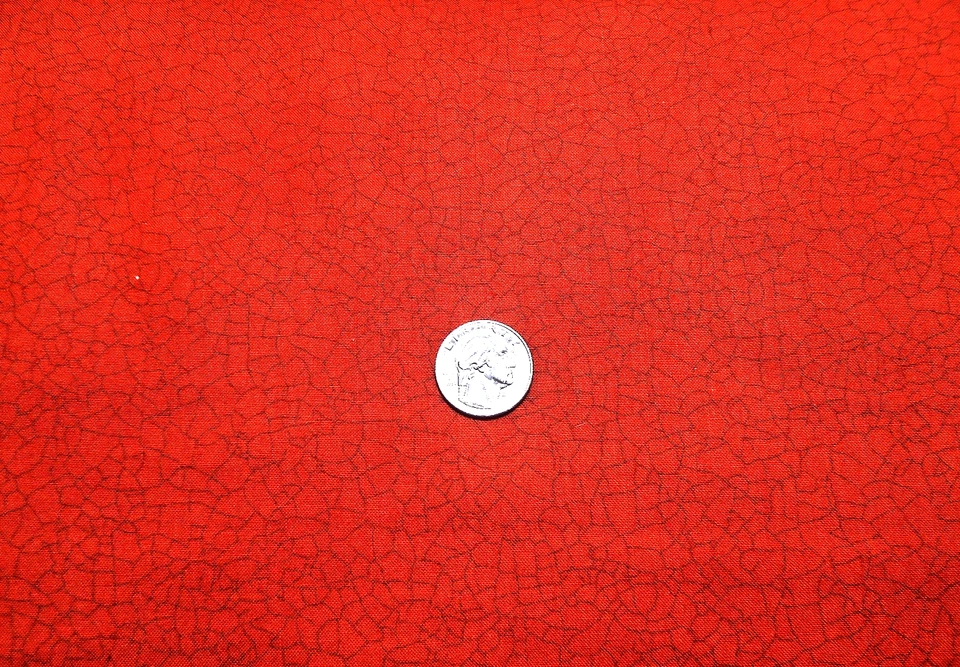 MODA PRINTS  with #4002" burnt orange CRACKLE " BTY - Image 1 of 1