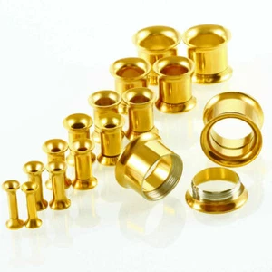 Pair Stainless Steel Screw Ear Gauges Flesh Tunnels Plugs Stretchers Expander - Picture 1 of 10
