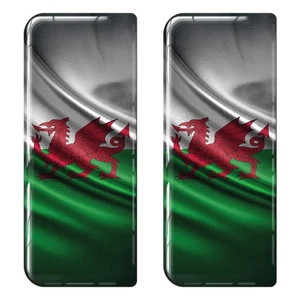 2x strukturierte Wales Flagge Gel gewölbt Nummernschild Abzeichen - Bild 1 von 1