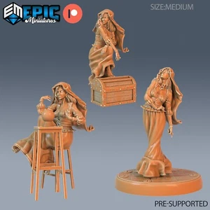 Fortune Teller | 28mm DnD Miniatures | Fantasy Tabletop Wargaming Figures | - Picture 1 of 8