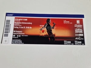 1x Ticket PETER MAFFAY Stehplatz Schwarzenberg am 14.06.25 - Bild 1 von 2