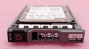Disco duro Dell 300 GB SAS 10k 6 Gbps 2,5" PGHJG para servidores Dell PowerEdge - Imagen 1 de 6