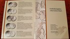 "Die Ersten Fünf" versilberte Gedenkausgaben 5 DM -st- in Kapseln+Folder v. 2013