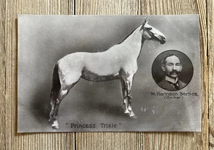 Vintage Postkarte RPPC Pferd Prinzessin Trixie W. Harrison Barnes britischer Zirkus - Bild 1 von 2