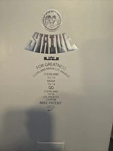 Nike Lebron empty shoe box - Picture 1 of 7