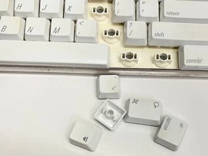 Apple Tastiera Singola Ricambio Tasto A1016 Riparazione Plastica Bianca - Foto 1 di 3