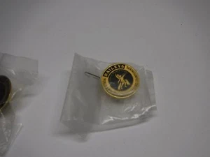 Baileys World and European Figure Skating Championship Pin - Picture 1 of 1