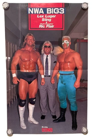 Sting Lex Luger Ric Flair Poster H:41cm×W:26cm WCW NWA WWF WWE AEW NJPW Vintage Cover