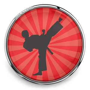Karate Martial Arts Snap Jewelry Ginger Charm 18MM Interchangeable Custom Button - Picture 1 of 10